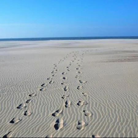 아파트 In With Stunning Sea Views 니우포르트