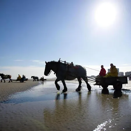 In With Stunning Sea Views 니우포르트