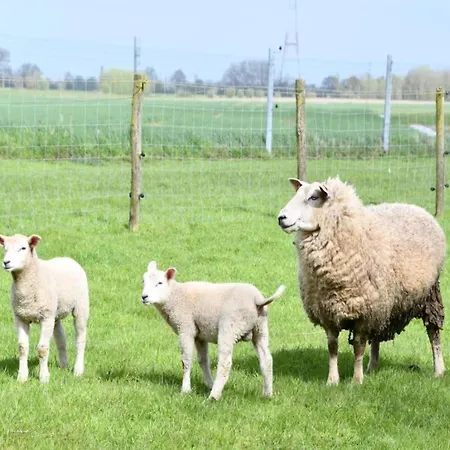 아파트 In With Stunning Sea Views *