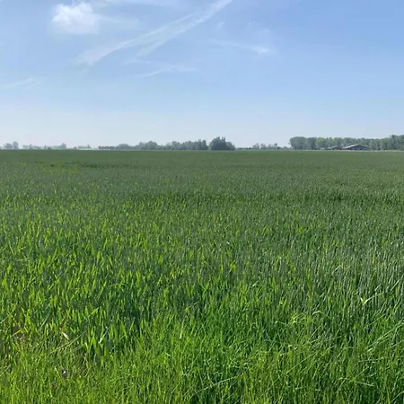 In With Stunning Sea Views * 니우포르트