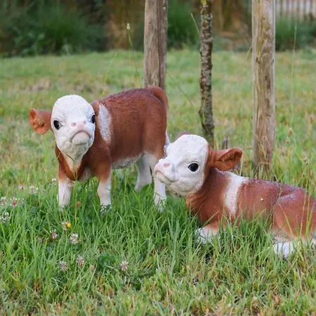 In With Stunning Sea Views