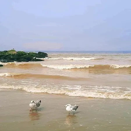 Διαμέρισμα In With Stunning Sea Views Nieuwpoort