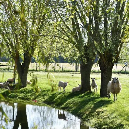 In With Stunning Sea Views